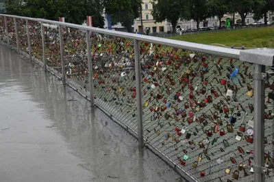 DSC_6143 (Large).JPG